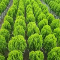 فروش عمده کود