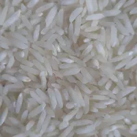 فروش برنج طارم