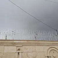 فروش ویژه حفاظ بوته ای و حفاظ دزدگیر چالوس