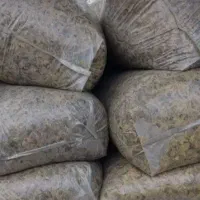 ذرت علوفه‌ای