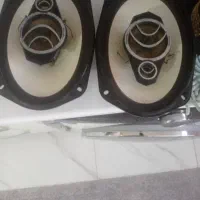 باند پایونیر۶۹۵۵