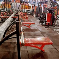 باشگاه ورزشی اجاره سانس بانوان