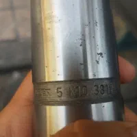 مرغک سرالماس مورس ۵
