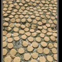 انجیر و کشک و ترخنه به فروش میرسد