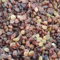 کشمش ارگانیکسیسخت|خوردنی و آشامیدنی|یاسوج, |دیوار