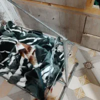 گهواره