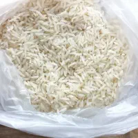برنج طارم هاشمی دانه درشت