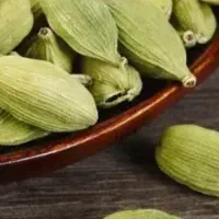 استخدام ویزیتور برای فروش هل سبز اکبر بنفش|استخدام بازاریابی و فروش|مشهد, آبکوه|دیوار