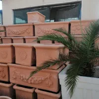 گلدان|گل و گیاه طبیعی|شیراز, شهرک گلستان|دیوار