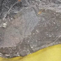 سنگ خاص|جواهرات|کرمان, |دیوار