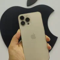 13پرومکس طلایی