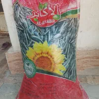 تخم افتابگرادن وارداتی