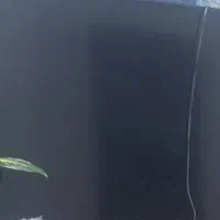 تلوزیون ۵۰اینچ