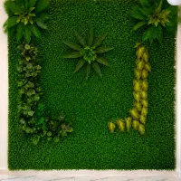 گرین وال