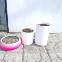 گلدان سالم سه عدد