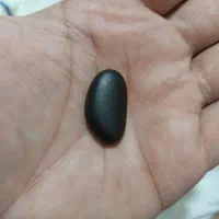 سنگ کلکسیونی|کلکسیون اشیاء عتیقه|پلدختر, |دیوار