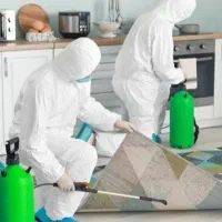 سمپاشی ساس سوسک موش کنه کک گال شرکت تخصصی سم پاشی