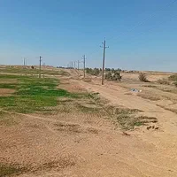 فروش۵۳ هکتار زمین کشاورزی چنانه شوش|فروش دفتر صنعتی، کشاورزی، تجاری|شوش, |دیوار