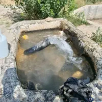 گنجاب-اجاره-باغ-انگور-فروش-باغ-انگور