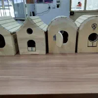 لانه عروس هلندی