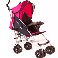 کالسکه عصایی