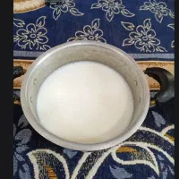 گاو|حیوانات مزرعه|دزفول, |دیوار