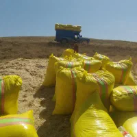 کاه|لوازم جانبی حیوانات|تبریز, |دیوار