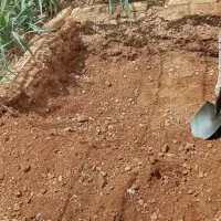 تخریب با پیکور|خدمات پیشه و مهارت|طبس, |دیوار