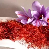 توزیع زعفران