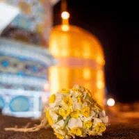 تور مشهد ریلی هوایی ترکیبی ()/*