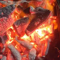 ذغال بسته بندی شده کبابی