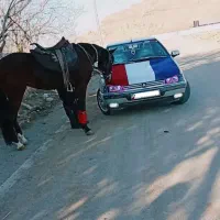 پژو 405 مدل 95 نازار