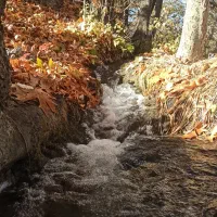 راهنمایی طبیعت گردی