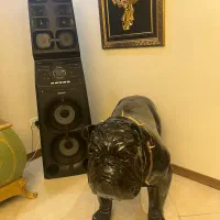 فروش اسپیکر سونی
