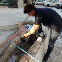 تعمیر فوری برق سه فاز ونک فاز عیب یابی تخصصی|خدمات پیشه و مهارت|کرمانشاه, |دیوار