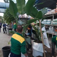 خدمات باغبانی و فضای سبز