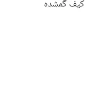 کیف گمشده