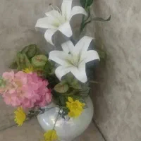 گل نونو|گل مصنوعی|بندر ماهشهر, |دیوار