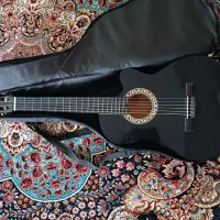 گیتار آموزشی نو