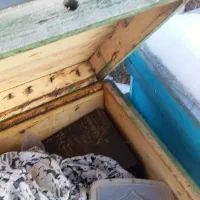 کندودست دوم ودرحدنو