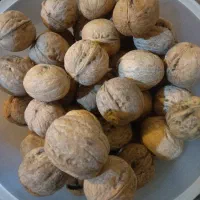 گردو پوست کاغذی اصل تویسرکان زیر قیمت