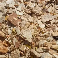 نان خشک تمیز کسی خواست درخدمتم
