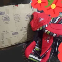 کریر و روروک و کالسکه