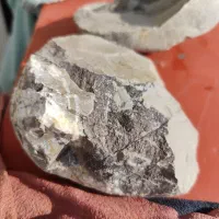 سنگ چخماق فسیلی کلکسیون با قدمت بالا|کلکسیون اشیاء عتیقه|تهران, توحید|دیوار