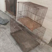 قفس پرنده