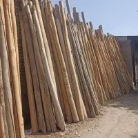 خریدار چوب سقفی|خدمات باغبانی و درختکاری|کوهدشت, |دیوار