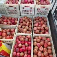انار کهمره