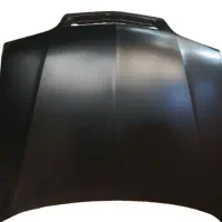 کاپوت زانتیا خام ، رنگی|قطعات یدکی و لوازم جانبی|اصفهان, بهارستان|دیوار