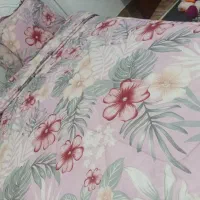 رو تختی|سرویس روتختی|رشت, جانبازان|دیوار