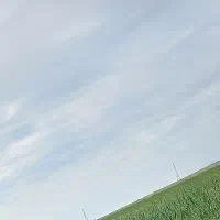 زمین کشاورزی